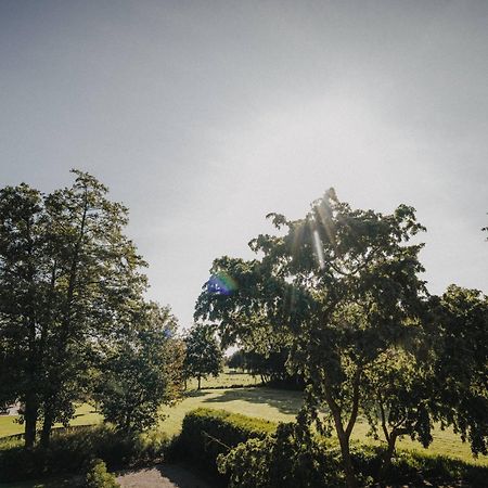 Ferienwohnung Weidenblick Varel Zewnętrze zdjęcie